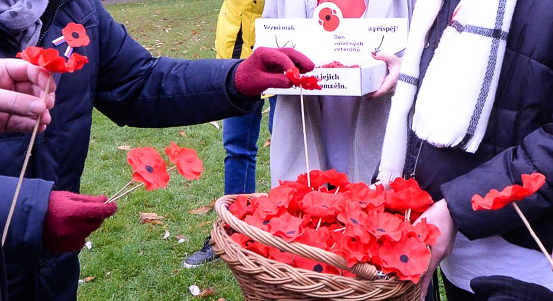 Válečné veterány a oběti válek připomínají květy vlčího máku