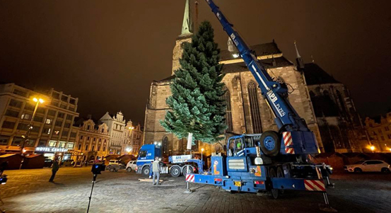 Plzeň má na náměstí Republiky vánoční strom. Ustaven byl před jedenáctou hodinou večerní