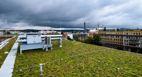 Krajská metropole požádá o dotaci na zelenou střechu 4. základní školy na Košutce