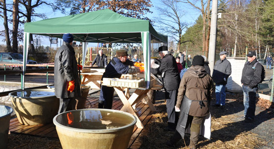 Plzeň nabídne na městských sádkách kapra, amura i štiku. Chce oživit tradici velikonoční ryby na českém stole
