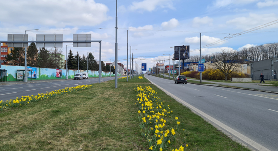 Tisíce jarních květin rozzářily Plzeň