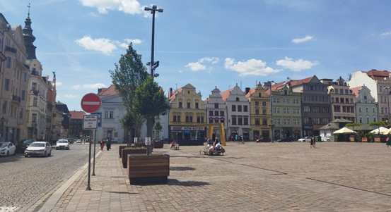 Primátor Pavel Šindelář převzal výsledky ankety ke stromům na náměstí, natrvalo je tam chce 97 procent hlasujících