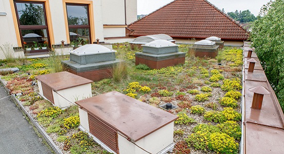 Střechy plzeňských škol a školek se mohou zazelenat