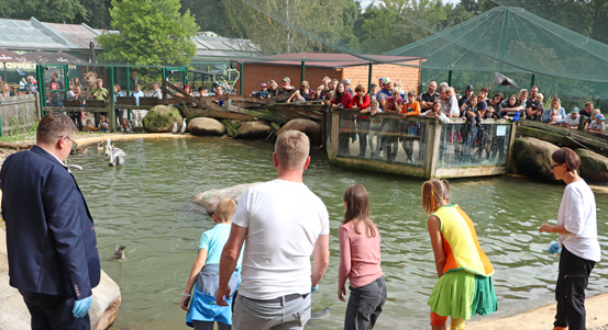 Vodárna a zoo oslavily 25 let chovu tučňáků Humboldtových