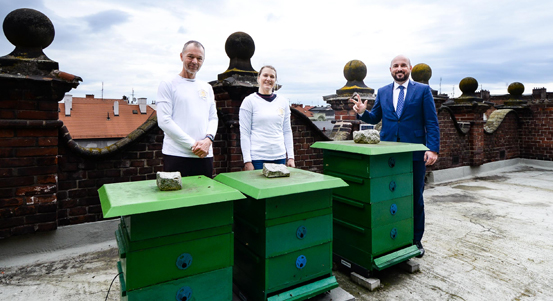 Na budovách magistrátu přibyly nové včelí úly