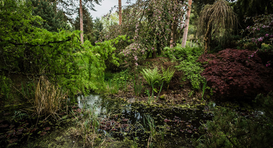Městské zahrady opět otevřou své dveře