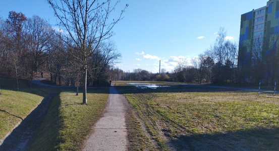 Cesta ke kolejím bude mít nový povrch