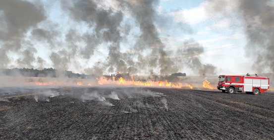 V městských lesích hořelo. Chovejte se opatrně, apelují správci