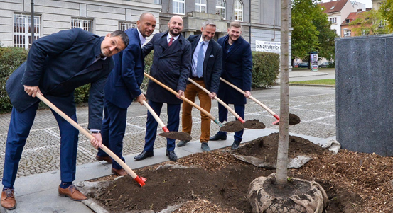 Náměstí T. G. Masaryka zdobí nová lípa. Vysazena byla u příležitosti blížících se Plzeňských oslav vzniku republiky