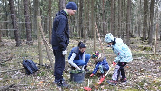 Dobrovolníci se zapojí do obnovy lesa, na Nové Hospodě vysází nové stromky