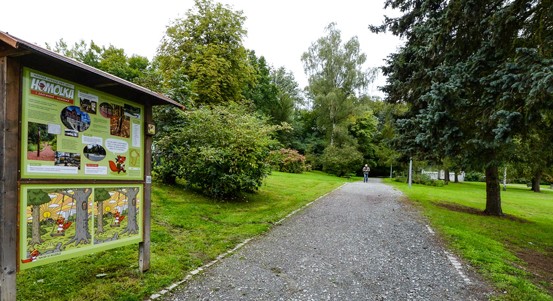 Lesníci vykácí suché a poškozené stromy na Homolce