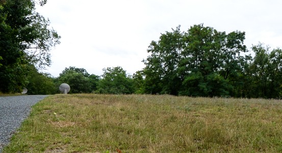 Místo vykácené holiny vznikne v Borském parku louka
