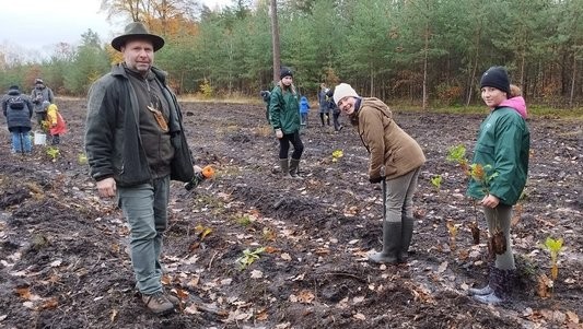 Den pro les: Přijďte sázet stromy na paseku u Malesic