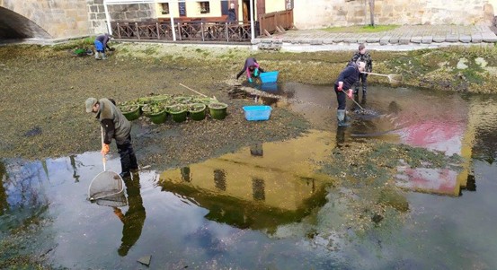 Jezírko v Mlýnské strouze prochází jarním úklidem