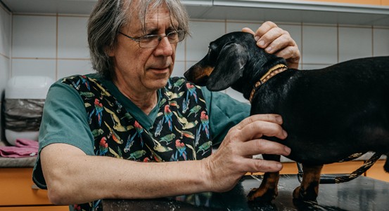 Oto Huml: Čtyřicet let s veterinární medicínou