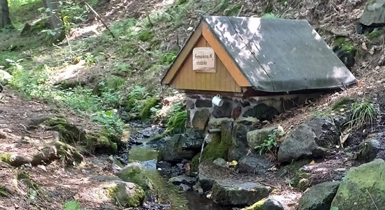 Lesníci obnovili tři studánky v lesích na Kokotsku, jež jsou v majetku Plzně