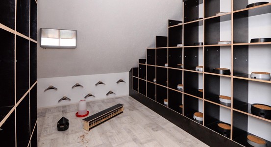 Plzeň má svůj první městský holubník. Pomůže s regulací holubů