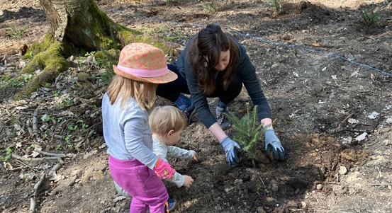 Pojďte s námi sázet les, vyzývají veřejnost městští lesníci