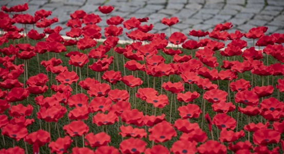 Sbírka opět připomíná statečnost válečných veteránů a dalších bojovníků za svobodu