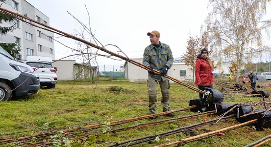 Plzeňané mohou do konce srpna žádat město o ovocné stromy, které si vysadí na své pozemky