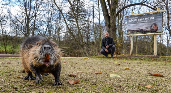 Krmením nutrií škodíte ostatním zvířatům i přírodě, upozorňuje město Plzeň