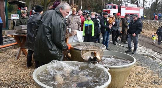 Lidé si opět budou moci u Košináře koupit vánoční stromky a ryby