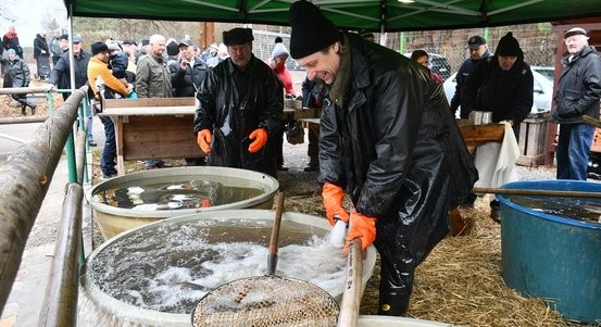 Město zahájilo prodej ryb, lidem doporučuje nenosit si je živé domů