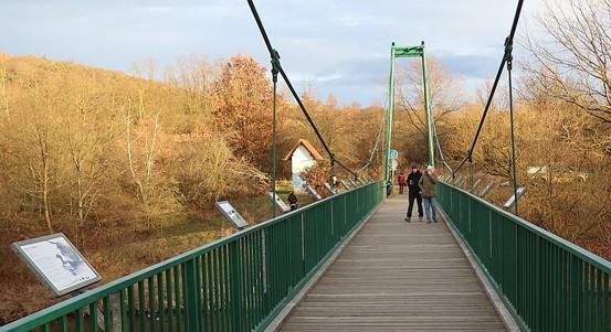 Na lávce přes Berounku jsou nové infotabule o vodním ptactvu