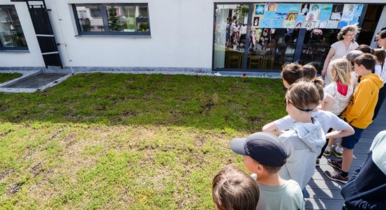 Město Plzeň poskytne dotaci Nadačnímu fondu Zelený poklad