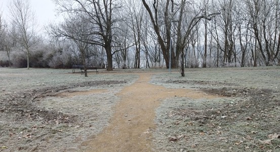 Skvrňanský park čeká proměna, ovlivnit ji mohou i sami občané