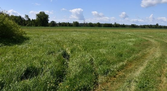 Plzeň začíná stavět další úsek greenway stezky Mže z Malesic