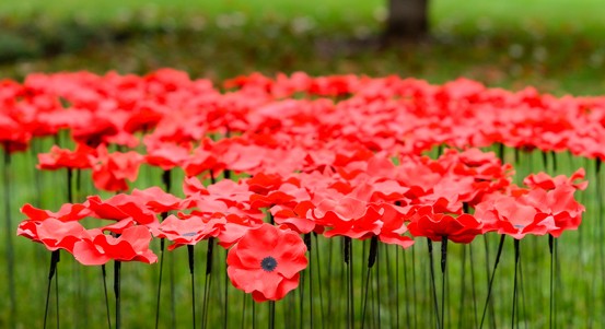 Plzeň si připomněla památku válečných veteránů a obětí válek