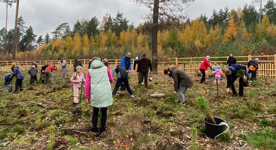 Dobrovolníci sázeli v Zábělé městský les