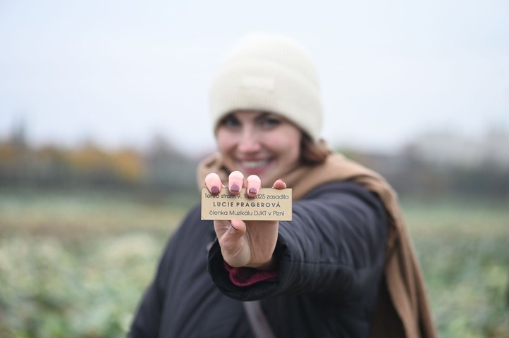 Fotografie: M. Svoboda 251112_DJKT_alej_4