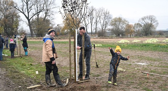 Plzeňský muzikál vysadil vlastní alej – symbol svého plodného období