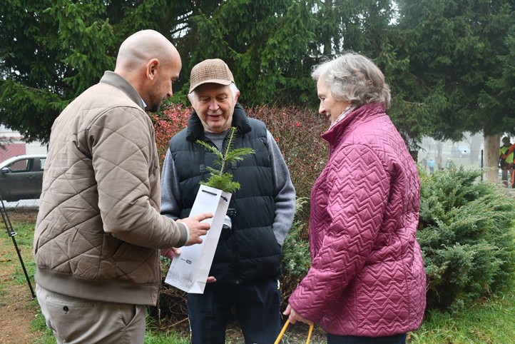 Fotografie: R. Žáková 251112_Vanocni_strom_svoz_2
