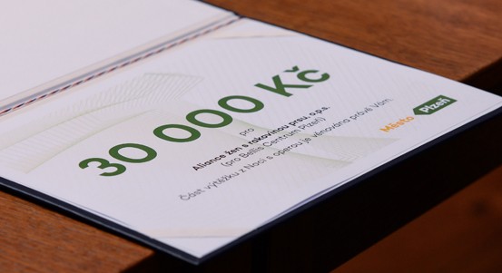 Primátor města Plzně Roman Zarzycký předal šeky organizacím, které pomáhají