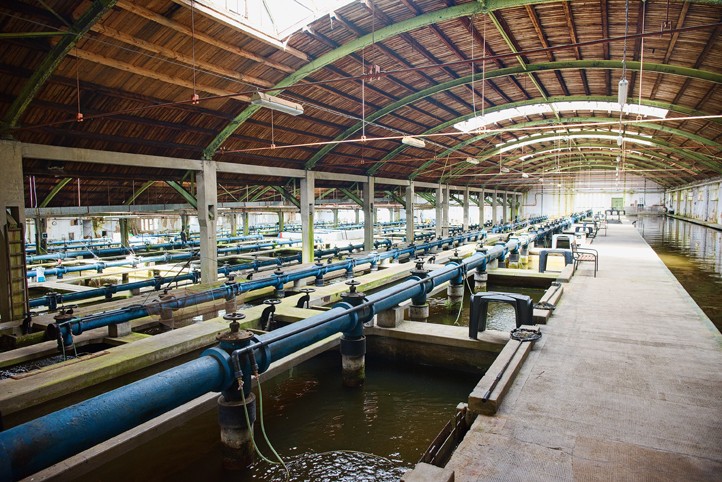 Budova filtrů Puech–Chabal (fotografie: J. Vaněk) 251223_Chabal_Vodarna_1