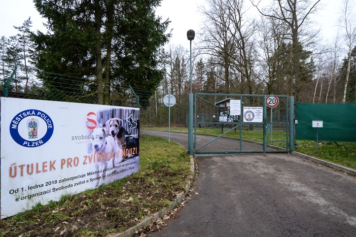 Ilustrační foto: M. Pecuch 260127_Utulek_psi_kocky_zvirata_1