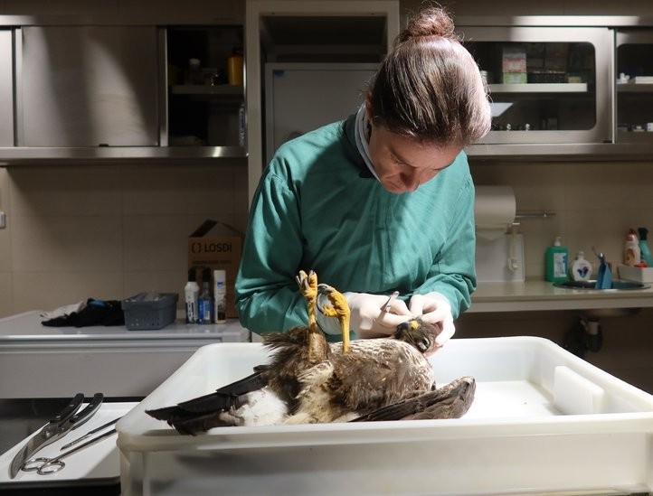 260210_Záchranná_Stanice_Živočichů_06