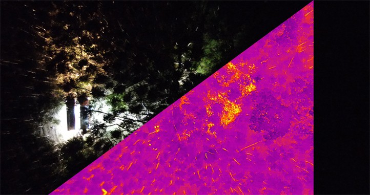 Ilustrační fotografie (zdroj: Správa informačních technologií města Plzně) 260212_Dron_priroda_Termo_1