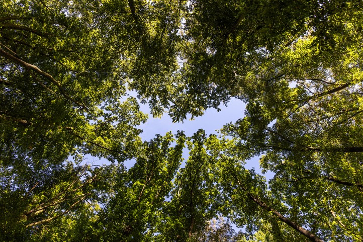 260319_Milan_Sekac_les_1