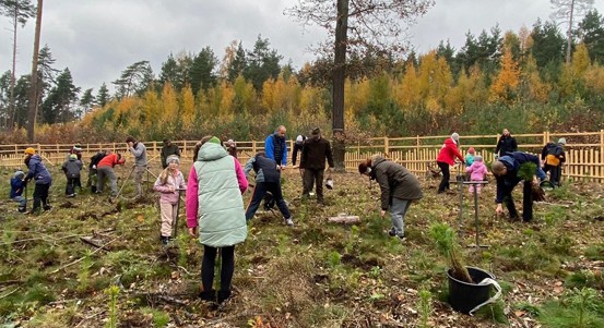 Den pro les: Přijďte sázet stromy do městského lesa u Boleváku. Registrace odstartovala