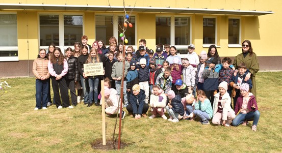 Ovocné stromy do škol. Plzeň podpořila žákovské parlamenty