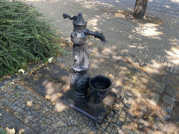 Fotografie: B. Hájková 260622_Mlzitka_pitka_pumpy_1