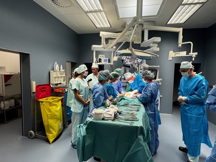Zdroj fotografií: kancelář náměstkyně Kantorové 260709_Experimentalni_chirurgie_1