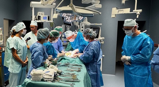 Plzeň hostí prestižní Letní školu experimentální chirurgie