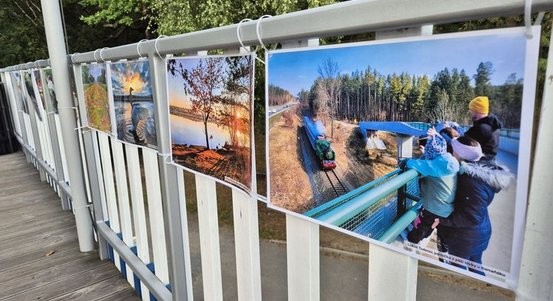 Soutěž Jednička vaším okem vyhrála Nymfa z Kamenného rybníka