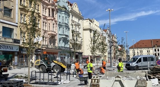 Hlavní náměstí v Plzni má nově stromořadí jilmů, končí první fáze rekonstrukce