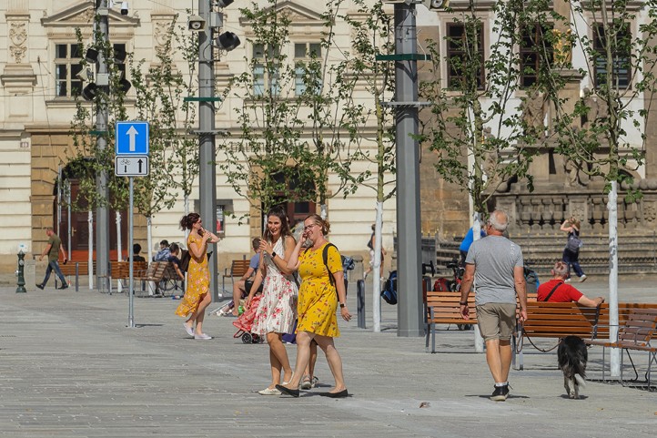 260915_Namesti_Republiky_stromy_1